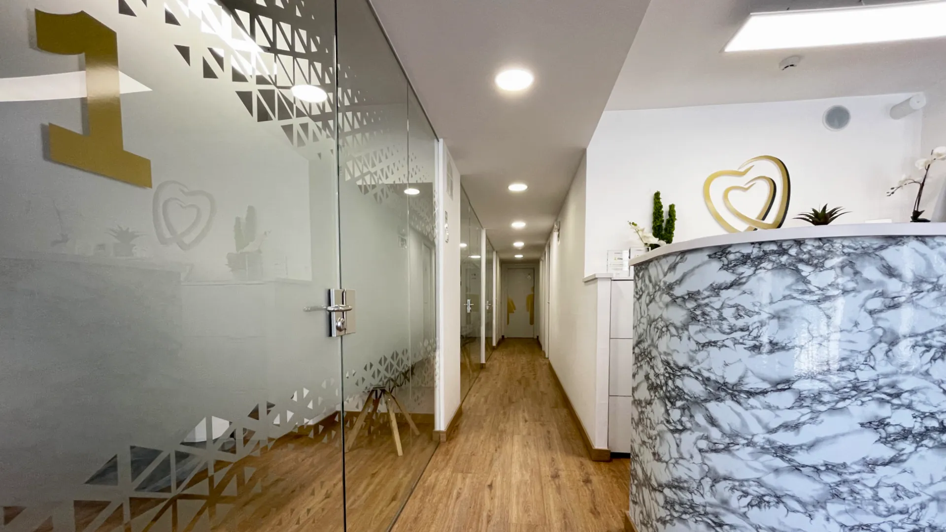 recepcion montcada dental